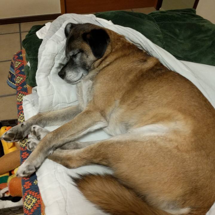 A9b97aaa 4f8f 49cb b122 d36ebf26fcc9