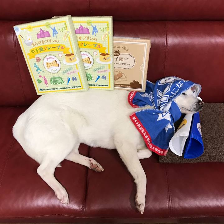 A9b97e2e 904a 40ff 9680 c8efae0f488c