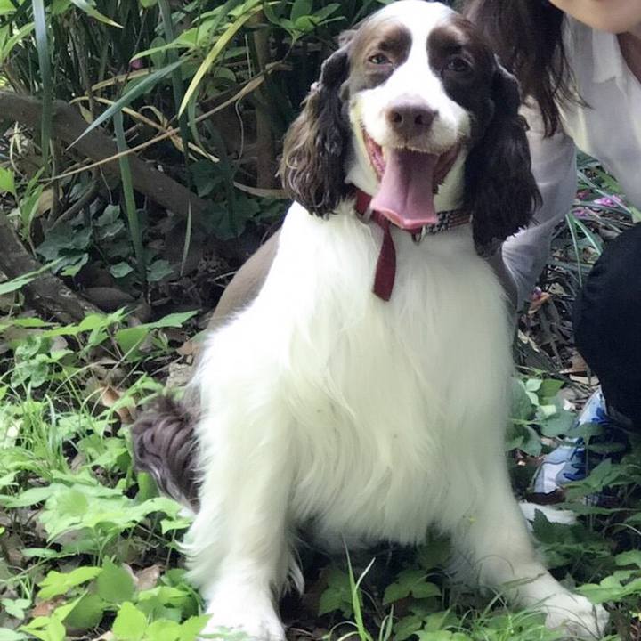 A9b9c66a f9a6 4c65 a2b7 d54af739375a