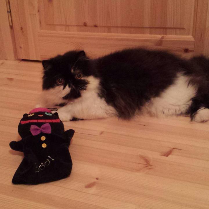 A9b9d40a adfa 491a b4ab 424191982320