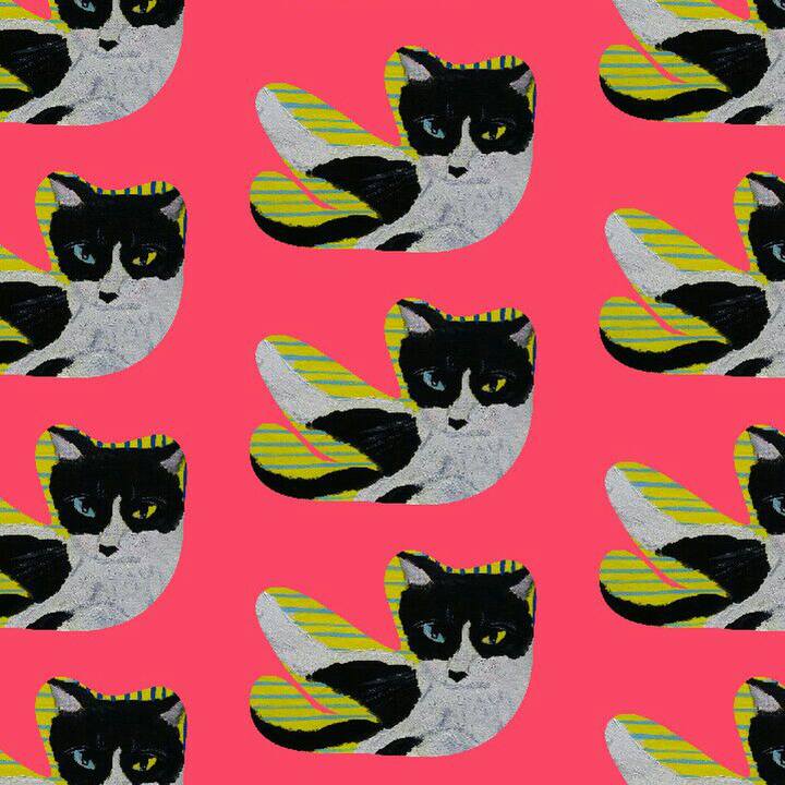 A9b9da6d bb7e 4f70 8960 de6b10d3044b