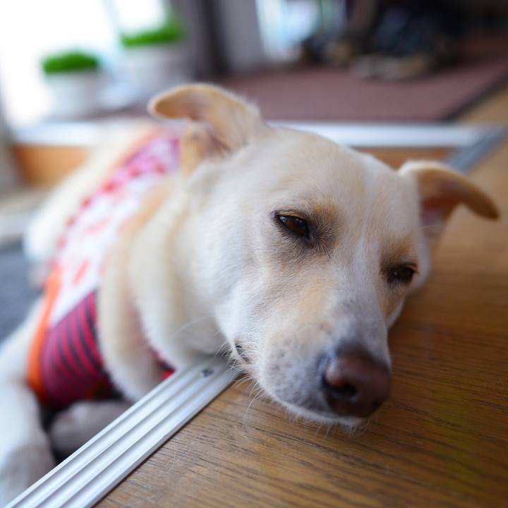 A9b9f1bc e00c 4f09 a807 0601d81b5f40