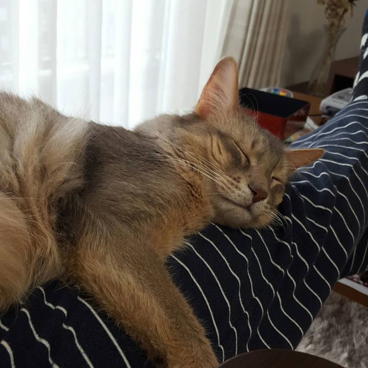 A9ba0131 cd79 4eb4 a2ab b2107e4926f2