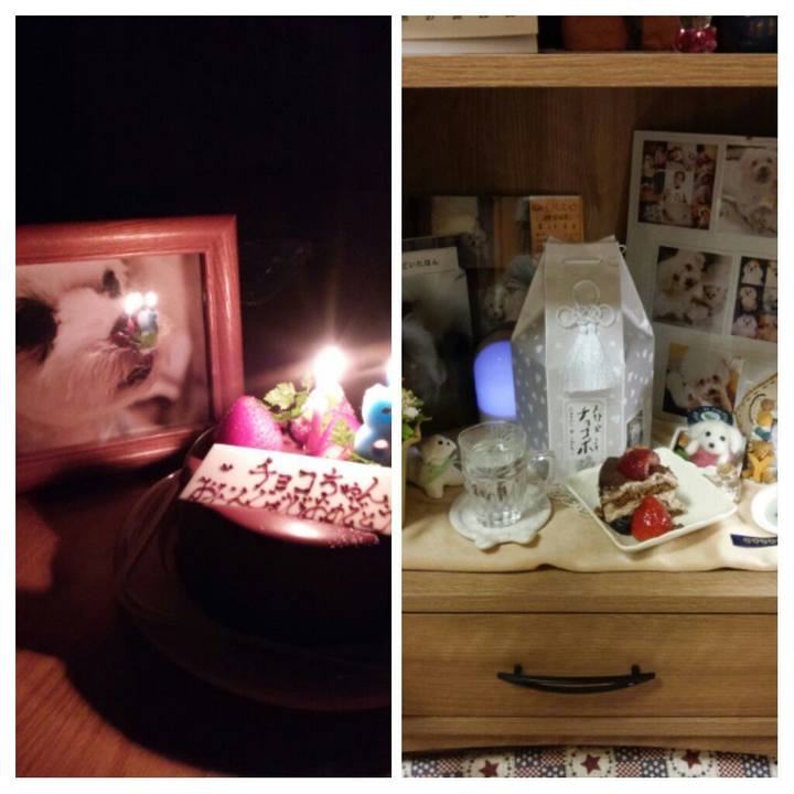 A9ba218f c3de 4ebe a995 6f8bc0ba65fd