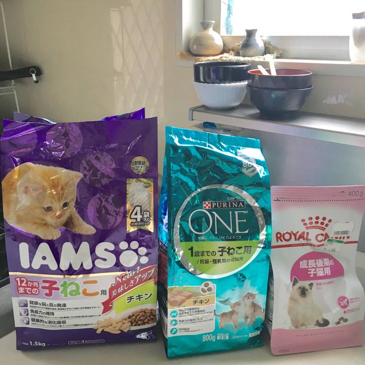 A9ba83a6 f071 4778 9e6a 2b5efd3e32a1