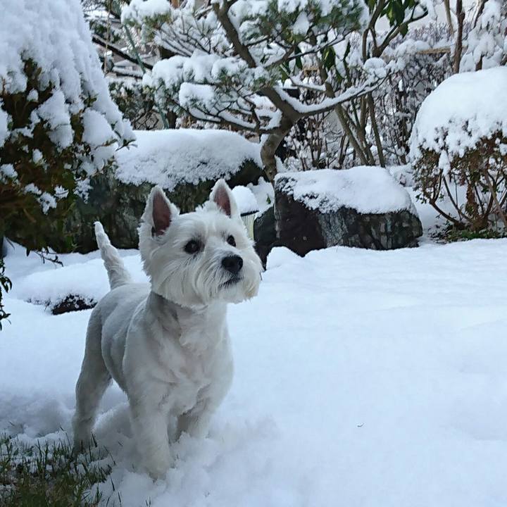 A9bab040 f9d9 43f3 b999 041702a73fad