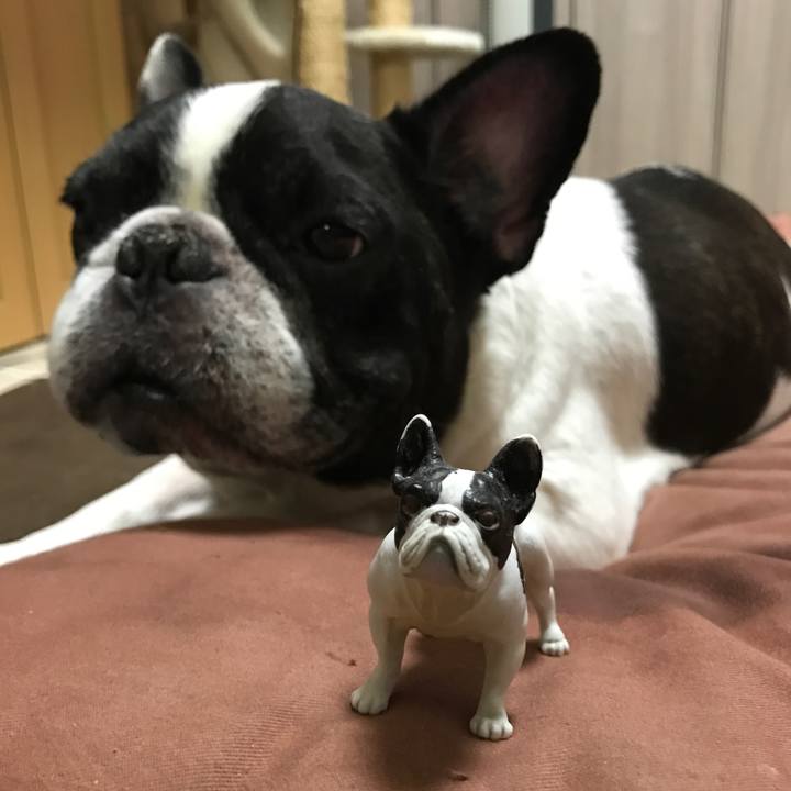 A9bb1e16 b9d7 4b52 a11a a139a53e6daa