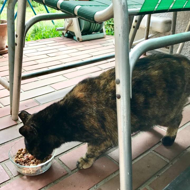 A9bba1b5 fce6 44f3 b0df 7aa86ac11c52