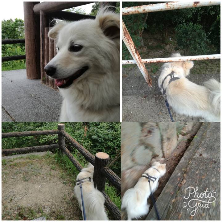 A9bba438 888f 4afb a4c6 a5a6e3c09824