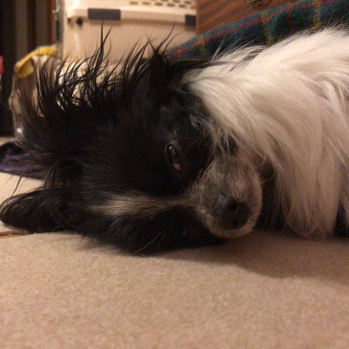 A9bca478 941f 4a6e 9ebf ad76a6414a99