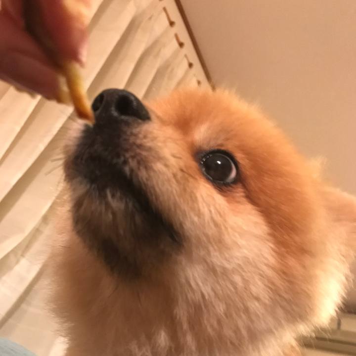 A9bca982 060e 4f4f bcb7 bdb05a1f03ab