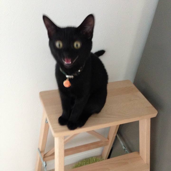 A9bd100e 191b 40a9 aaea e3b96e2a3db7