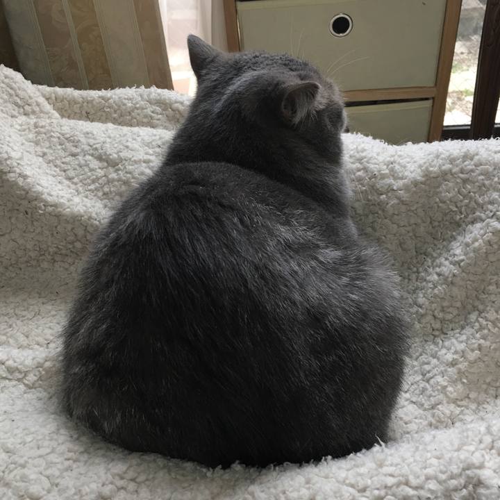 A9be349d 4b7a 4d9b b44b eb327ceff777