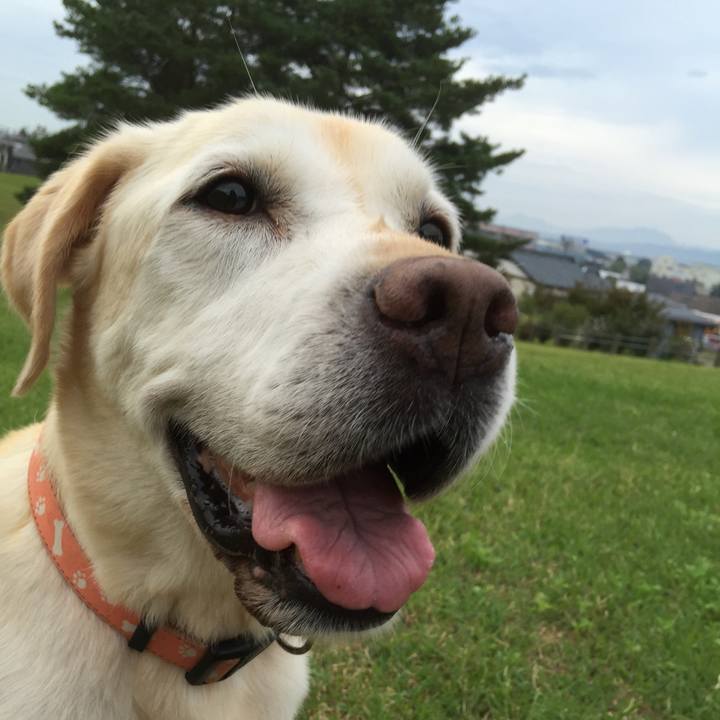 A9be4e4b 305f 4153 9514 e14dc9570345