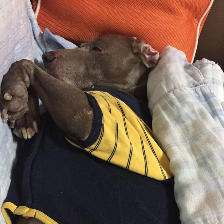 A9be53e3 0d15 4d4a ad34 b62f22bf54bc