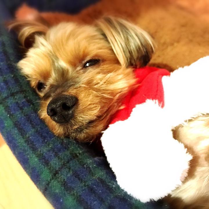 A9bff6c5 fff8 4e03 a714 74f88fc5a7da