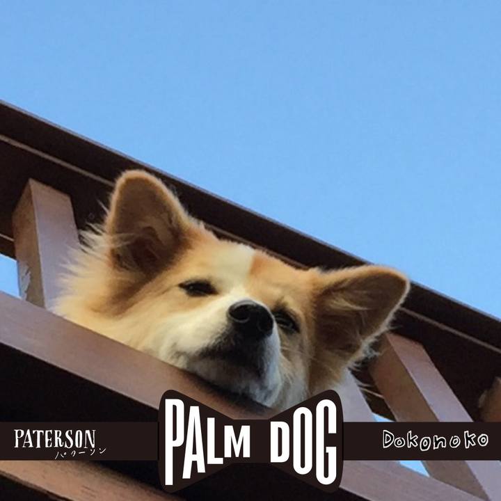 A9c0586c 4bcd 4afa a8f3 bde28b3e26ce