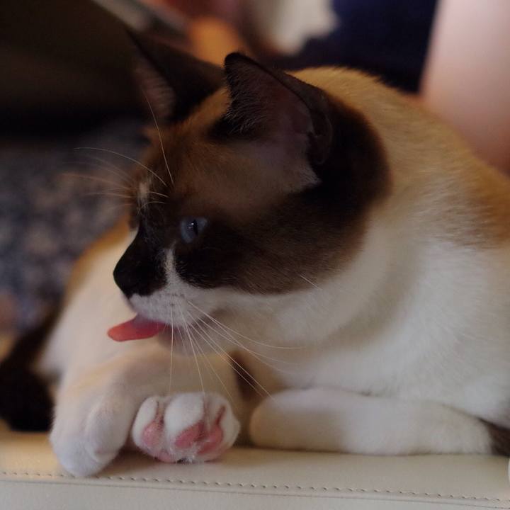 A9c05f0c 47bc 4504 9a6b 2ba3d6f5d200