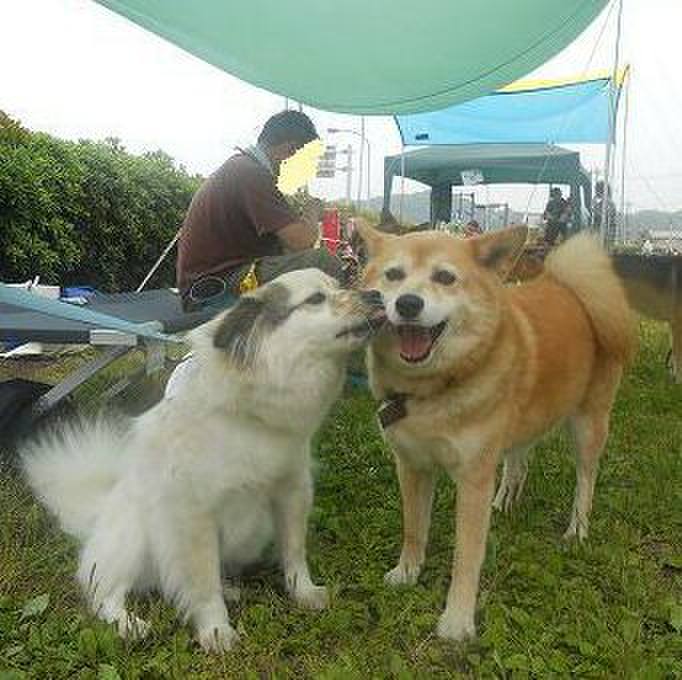 A9c05f9b 67f3 4fbb 9b95 db497b1313a4