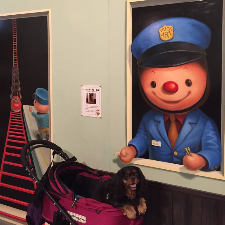 A9c11925 6fa4 42f4 9e64 543ea2a45448