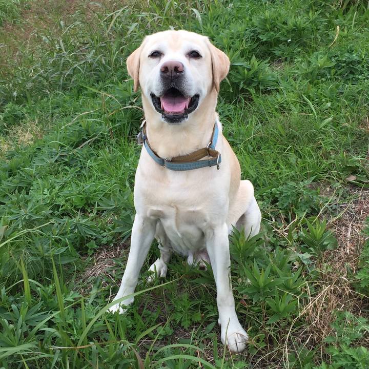 A9c19675 43c5 4dbe 86f5 f582da67b3f9