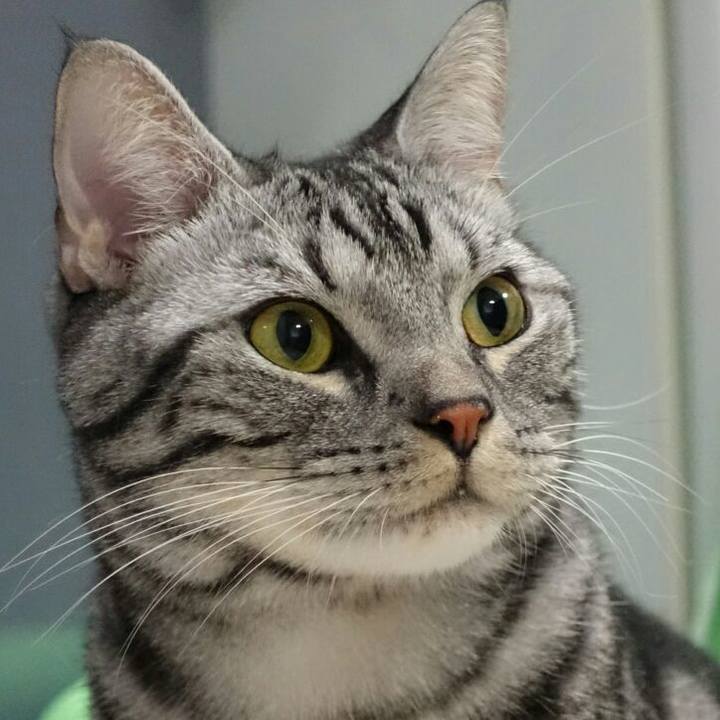 A9c1d8ae 6182 437a 8edd be2aebe441e0