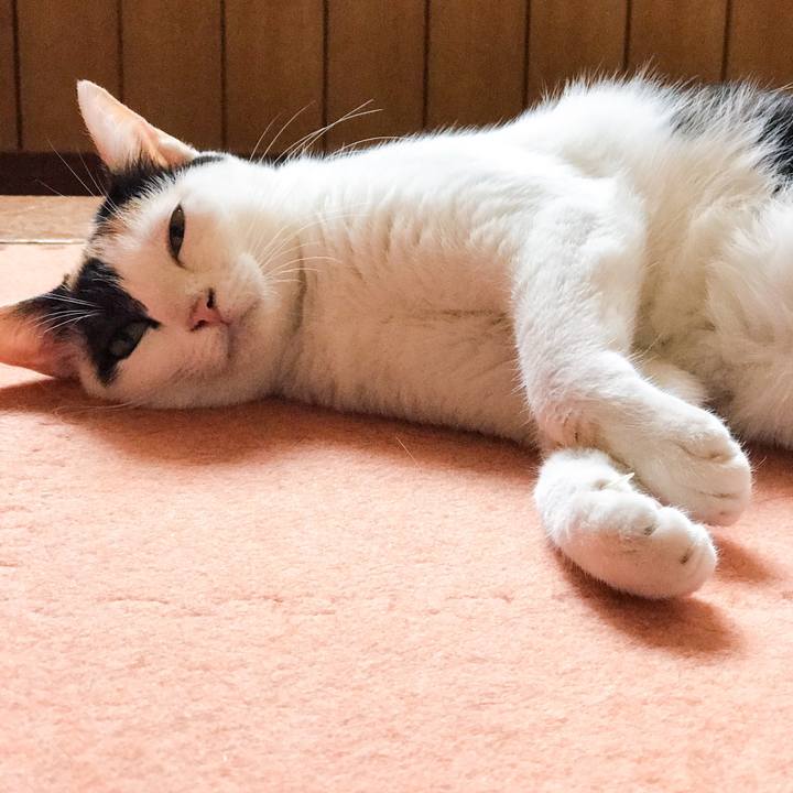 A9c2d916 b8ca 4d73 9db1 445bc7bcaf4c