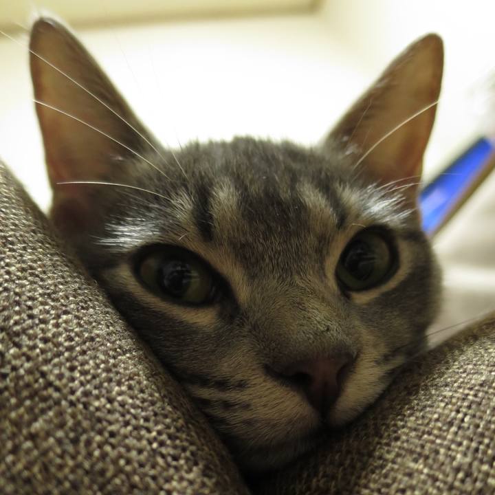 A9c385d1 893d 498c b35f 6b360ca64de3