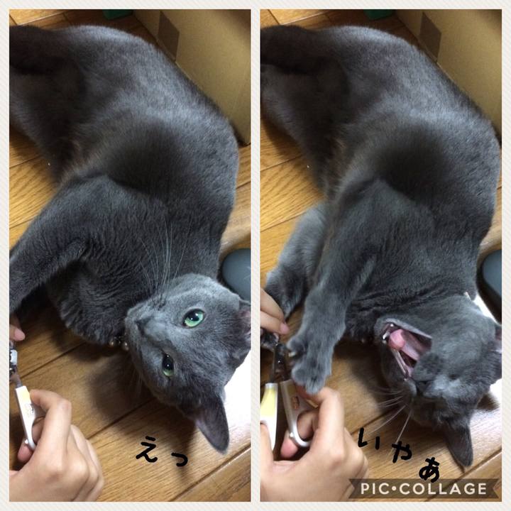 A9c39267 d51d 4cb9 b7d2 123521051bcf