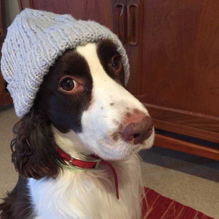 A9c3e0b8 0ae8 4e5f 85b4 a7b27c91e98b