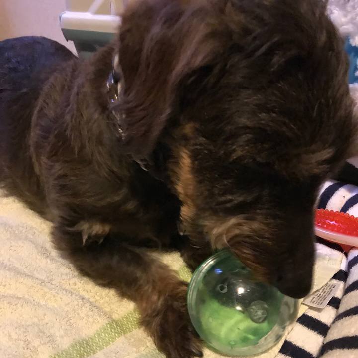 A9c485cc 761b 4bd9 a988 1d906ab8eea7