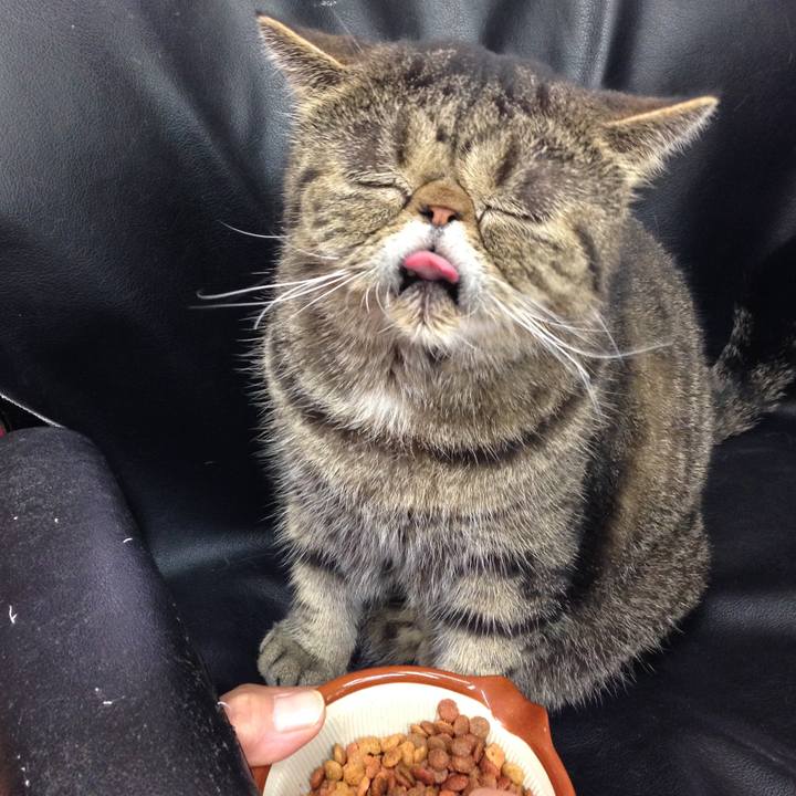 A9c4d497 09ed 42b1 bac2 0de1c576ab34