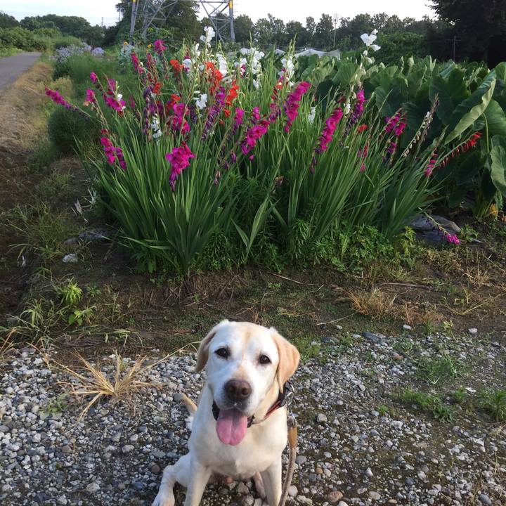 A9c5780e a3d3 4181 aa9e fe86bdc51b9f