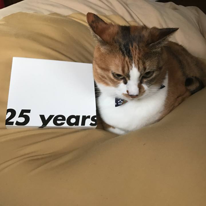 A9c5b15b 916c 4d28 b6ec f2338caa1fd9