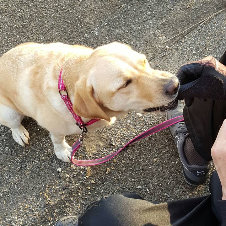 A9c6d2a4 a39a 42eb 9c6b 043056f2e9b2