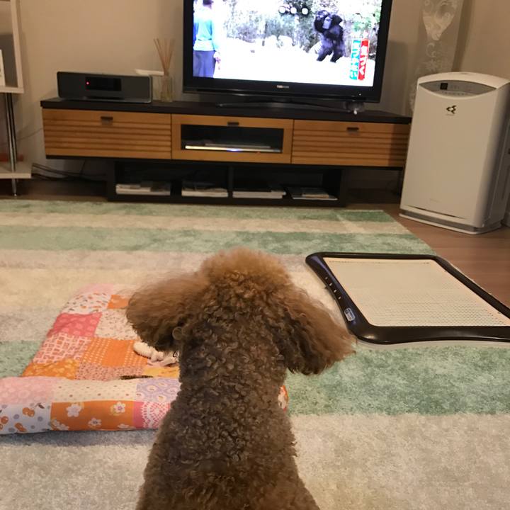 A9c6e61b 42e2 4b78 bdd0 05991e6eeef3