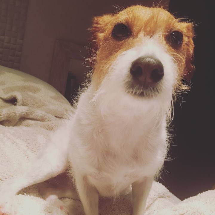 A9c7378d 1017 459c b8d9 53cd8eef8bac