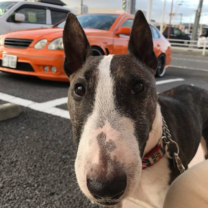 A9c7653e 7f16 4963 93aa 8d307a6ba308