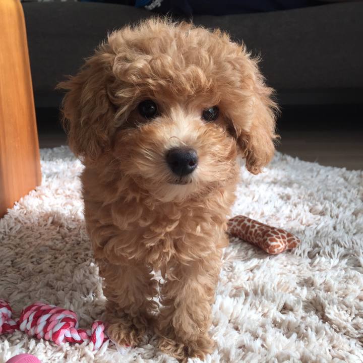 A9c80a4f 0a1b 48f4 bc22 ac92eef33346