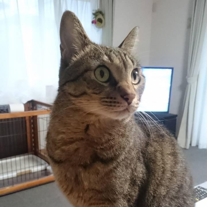 A9c8433c b817 4031 a882 2517ba22851d