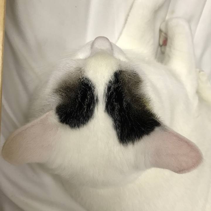 A9c8d359 841e 4d7a 9364 ef88211e785f