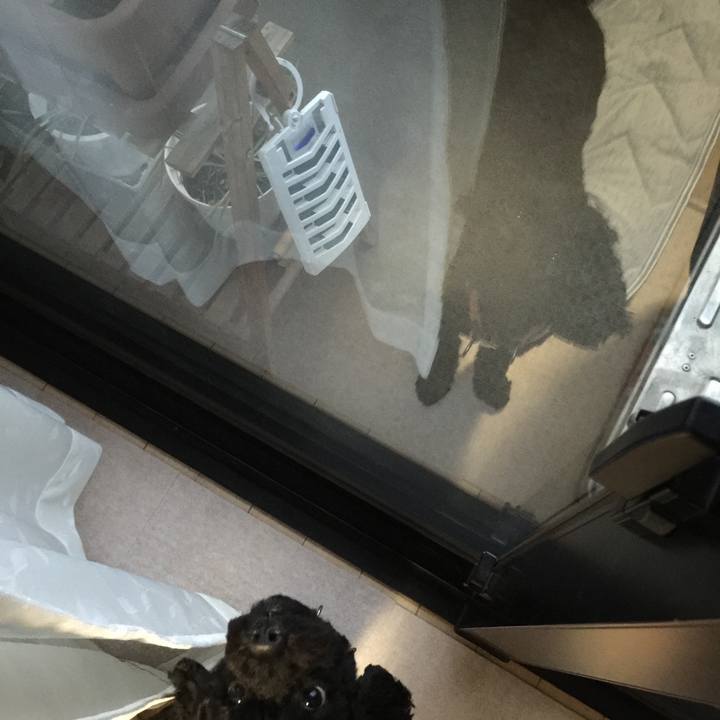 A9c96d65 f2b1 4ed8 8840 977297cd1a8b