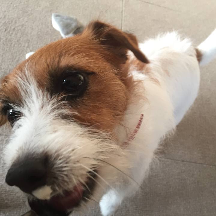 A9cb0046 28fa 4f0c bc30 a35514a387d8