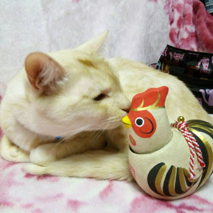 A9cb00fb e3e2 401c 92a5 f87eb9112a14