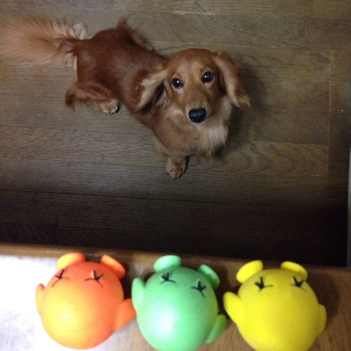 A9cb03b1 6ee7 48c8 b080 6741791708e1