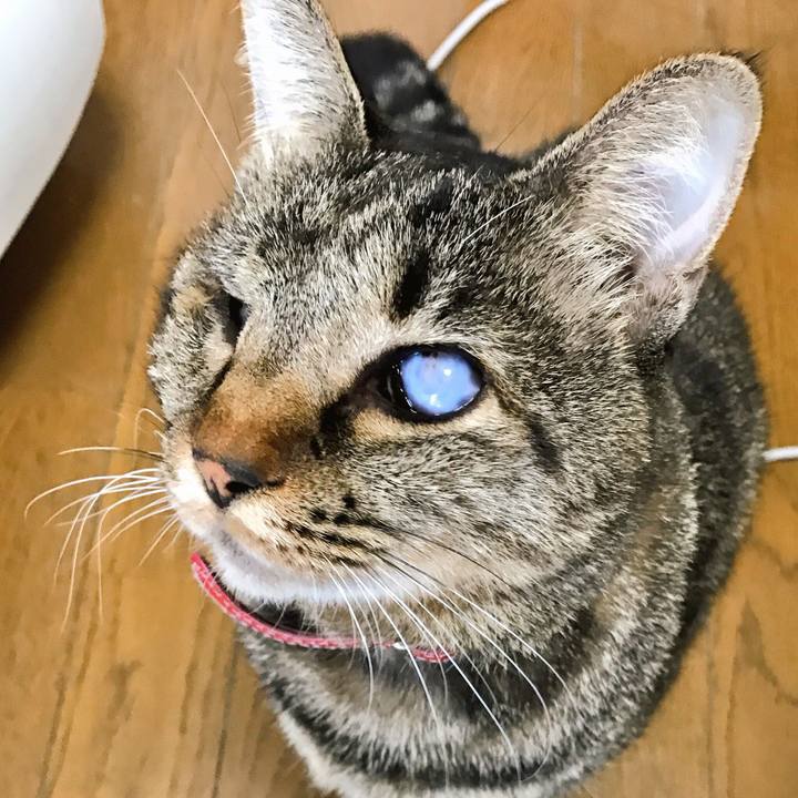 A9cb234c 5c8d 41e1 9d34 812c2835429a