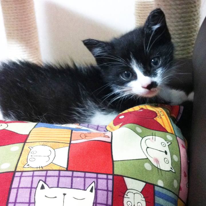 A9cb7f50 f5b2 4c0a b344 1be1978e8336