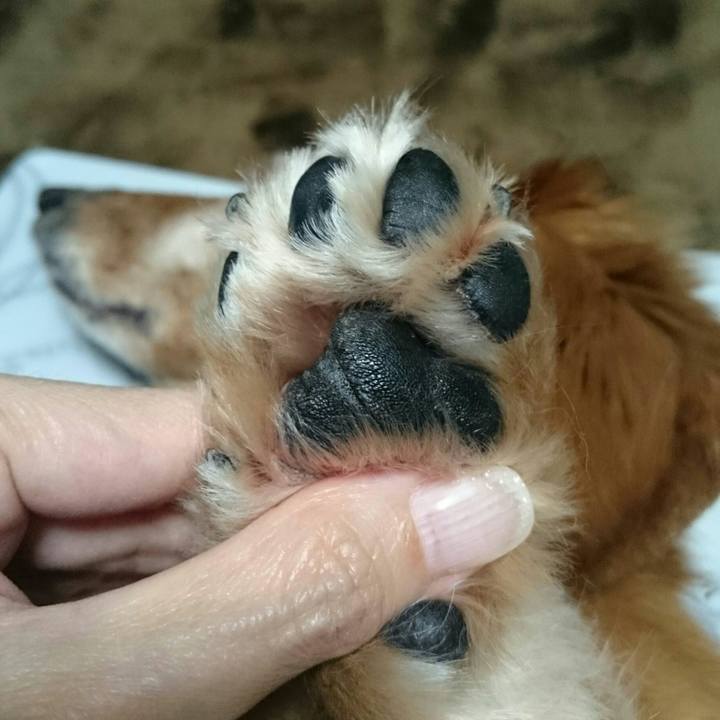 A9cc541b 5fba 4f6c bb7a 75993fecd317