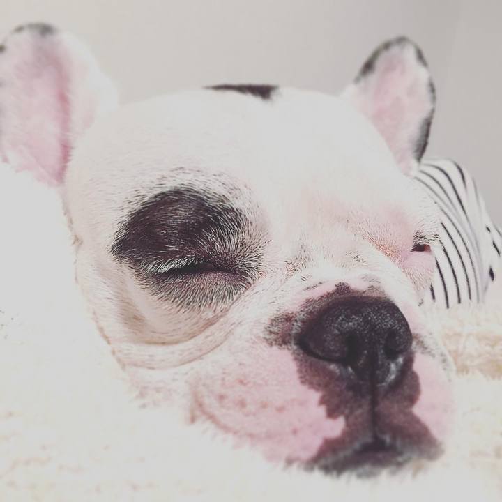 A9cc585d f9c9 41f6 9e68 2dfe1a04828f