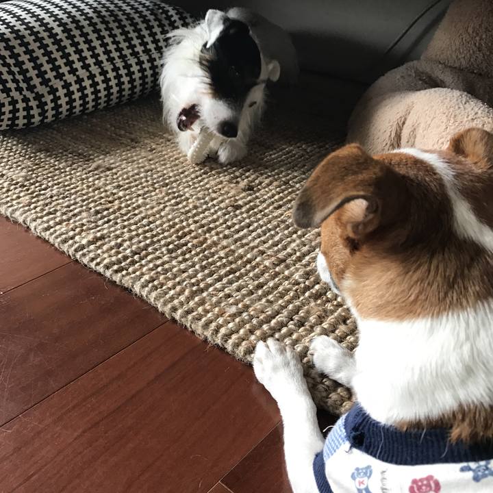 A9cc9b18 2833 48a6 868c 044d0ccf72e8